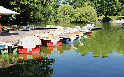 Vergrößerte Ansicht: Ruder- und Tretboote gibt es am großen Weiher zu mieten