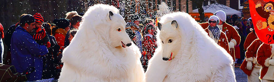 Zwei Erwachsene in Eisbären-Kostümen mit Masken