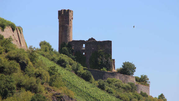 Vergrößerte Ansicht: Burgruine an steilen Weinbergen gelegen