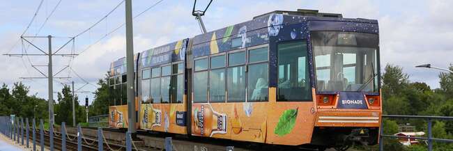 Bunt bedruckte Straßenbahn fährt auf Gleisen unter Oberleitungen