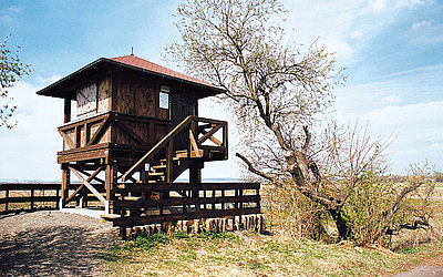 Vergrößerte Ansicht: Beobachtungsstand am Naturschutzgebiet Bingenheimer Ried