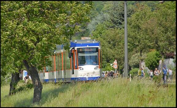 Eine Straßenbahn fährt durch eine grüne Landschaft.