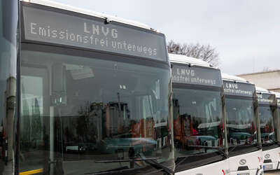 Aufgereihte Wasserstoffbusse