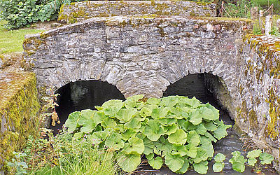 Vergrößerte Ansicht: Eine Brücke inmitten grüner Natur