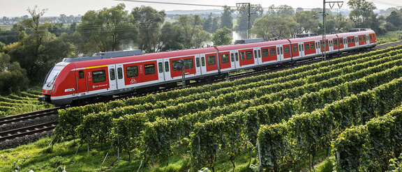 S-Bahn S1 in Fahrt Neue Broschüre: Grüne Sommerziele im RMV-Gebiet