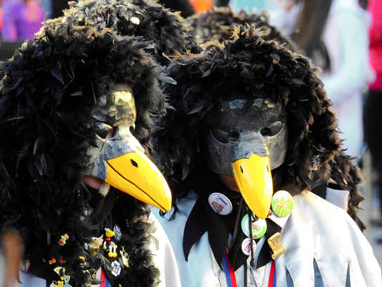 Zwei Erwachsene in Krähen-Kostümen mit großen Schnabelmasken