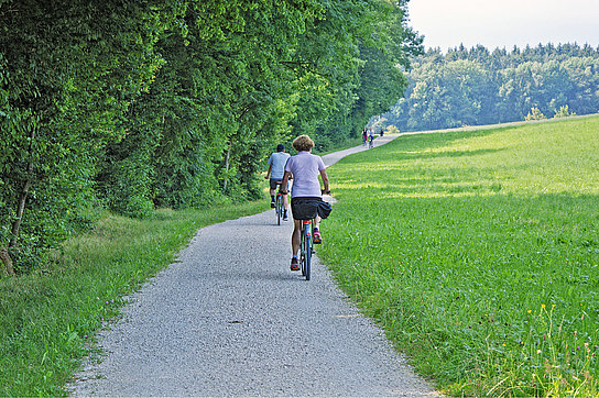 Fahrradfahrer am Waldrand unterwegs