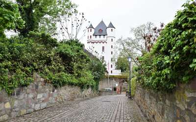 Gepflasterter Weg und Mauern, Hecke und eine weiße Burg