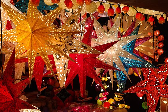Weihnachtssterne auf dem Weihnachtsmarkt
