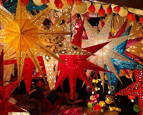 Weihnachtssterne auf dem Weihnachtsmarkt