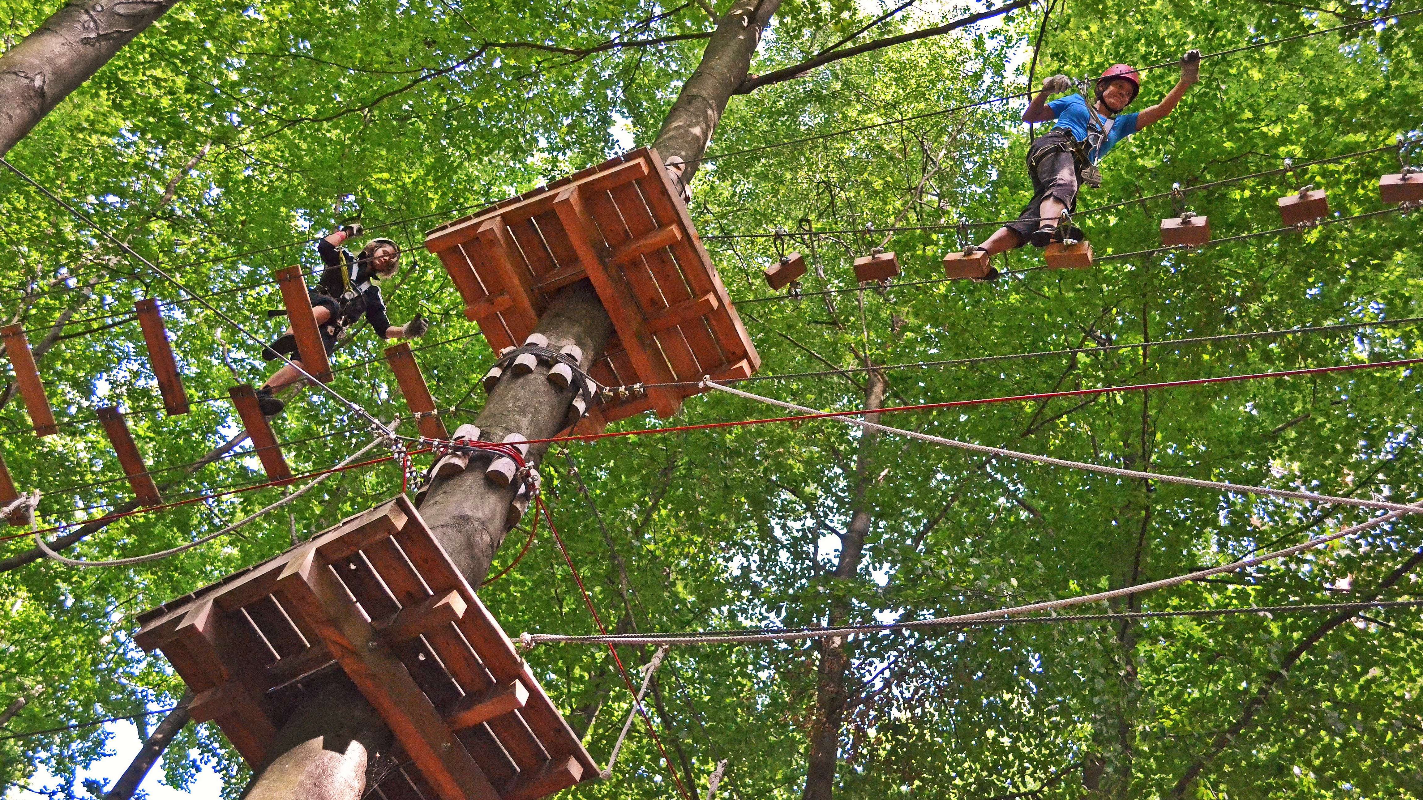 Hängebrücke im Kletterwald Zwei Personen klettern in der Höhe der Baumkronen auf einer Hängebrücke.