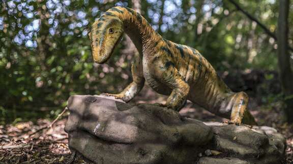Eine kleine Dinosaurier-Figur auf einem Stein im Wald