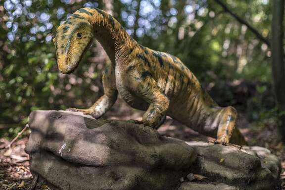 Eine kleine Dinosaurier-Figur auf einem Stein im Wald