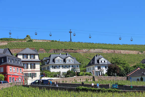 Vergroeßerte Ansicht: Die Seilbahn ueber den Weinbergen