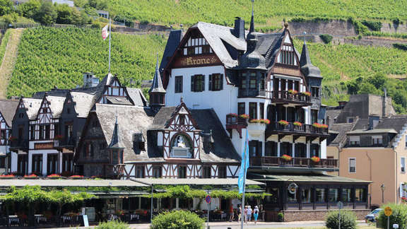 Fachwerkhäuser mit Türmchen vor Weinbergen