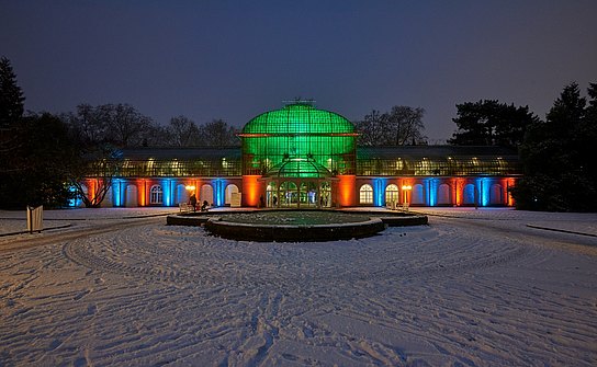 Palmengarten_Frankfurt_Winterlichter.jpg