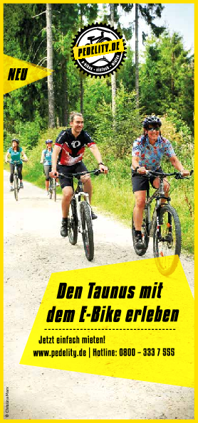 Pedelity Flyer 1802_pedelity_bro_fin_klein.pdf