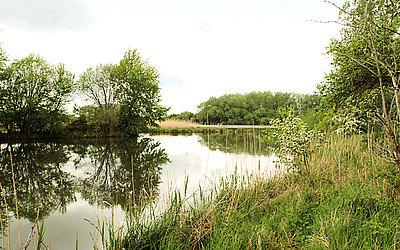 Vergrößerte Ansicht: Reinheimer Teich