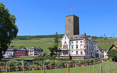 Vergrößerte Ansicht: Blick auf die Boosenburg