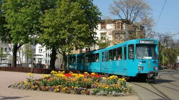 Straßenbahn auf einem baumumstandenen Platz