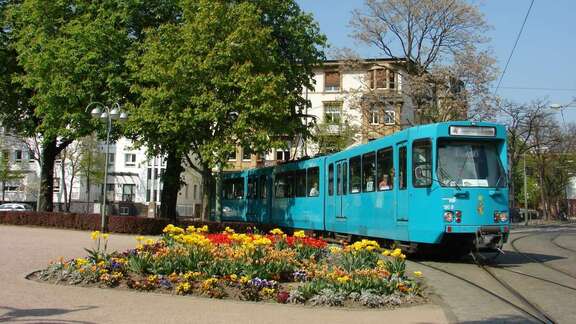 Straßenbahn auf einem baumumstandenen Platz