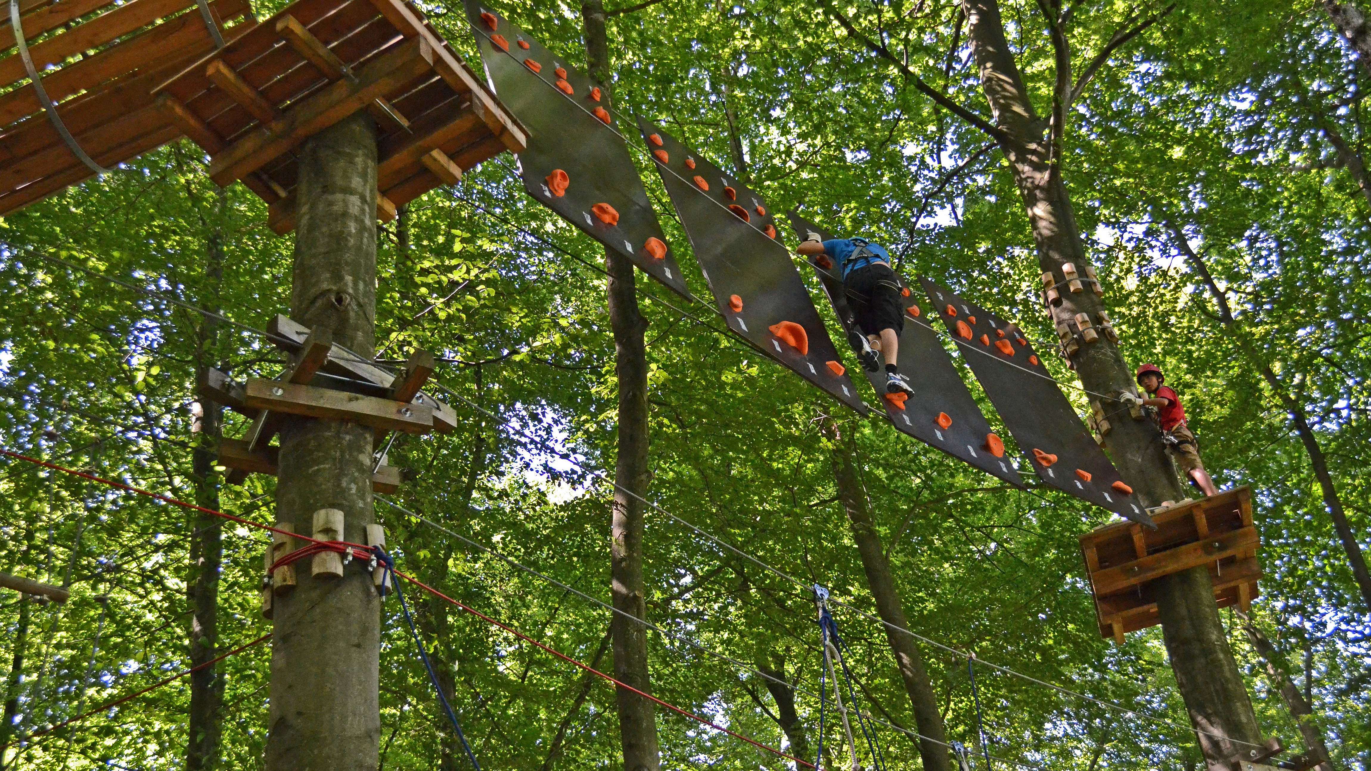 Kletterwand im Europa-Kletterwald Eine Person hängt in der hohen Kletterwand in den Baumkronen.