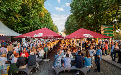 Menschen sitzen gesellig auf Bierbänken in einer Allee beisammen.