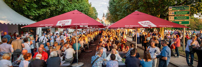 Menschen sitzen gesellig auf Bierbänken in einer Allee beisammen.