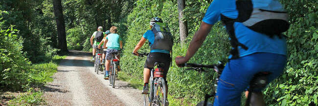 Eine Gruppe Fahrradfahrer ist auf einem Waldweg unterwegs