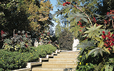 Vergrößerte Ansicht: Treppe zwischen grünen Pflanzen und Bäumen