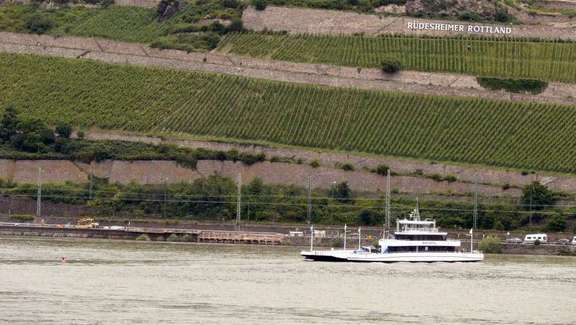 Vergrößerte Ansicht: Rheinfähre vor Rüdesheimer Weinbergen