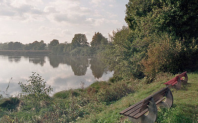 Vergrößerte Ansicht: Ufer eines Sees im Schweinsberger Moor