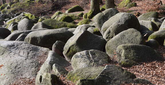 Felsenmeer Große Felsbrocken liegen im Wald