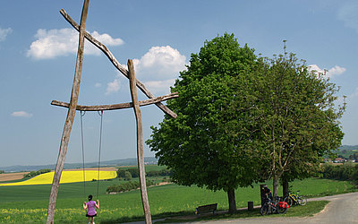 Vergrößerte Ansicht: Im Hintergrund grüne Wiese und Bäume