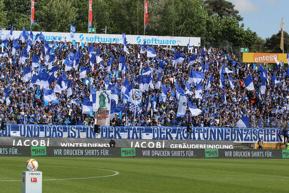 Fans in the stadium