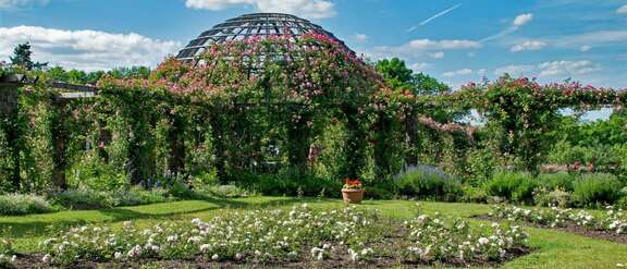 Park Rosenhöhe in Darmstadt Ausflugstipp: Parkanlagen und Aussichtspunkte