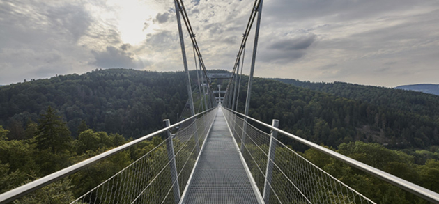 Hängebrücke über Wald.