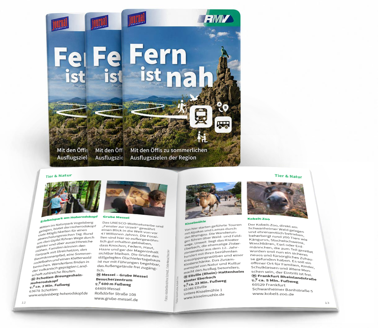 Mockup des Journal Frankfurt Booklets